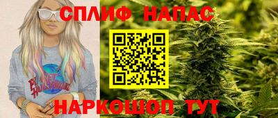 шишки Ачхой-Мартан