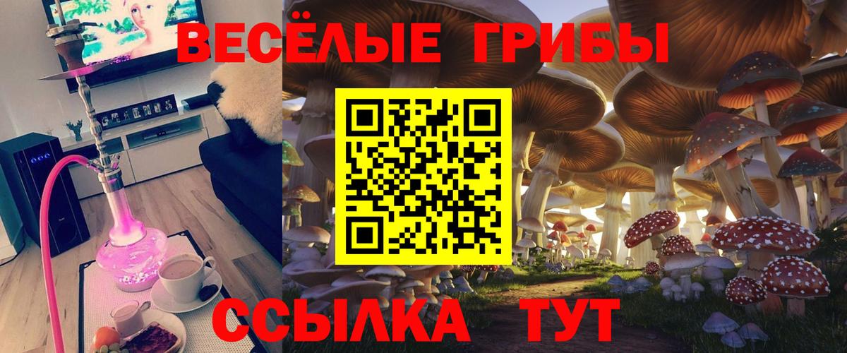 Псилоцибиновые грибы Cubensis Тобольск