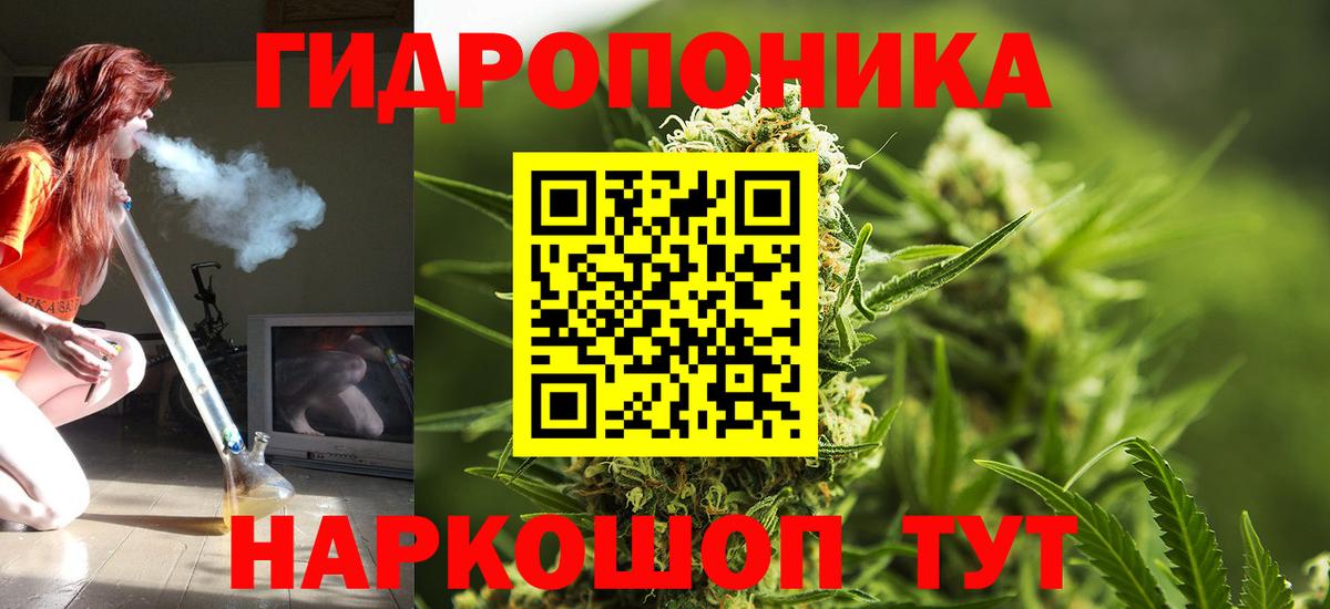 Тобольск  Бошки Шишки LSD WEED  МАРИХУАНА White Widow  Вход с VPN  Канабис сатива 
